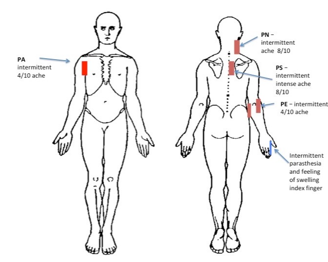 neck+body+image.jpg